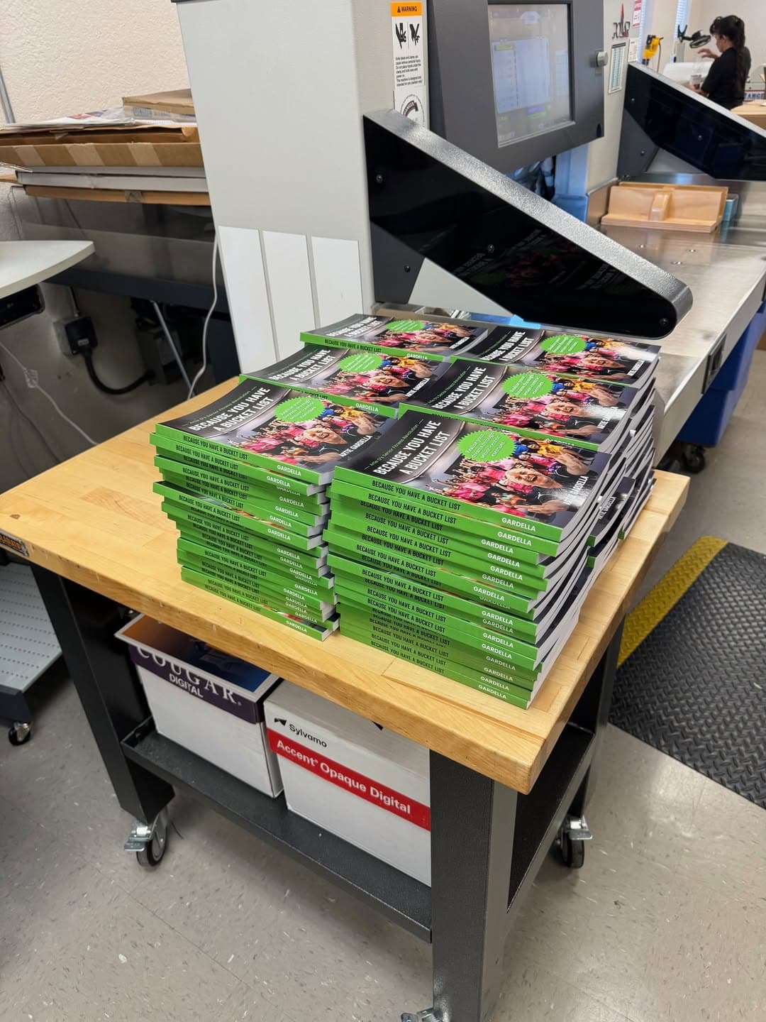 Stacks of Dardella book 'Because You Have a Bucket List' printed by Ranger